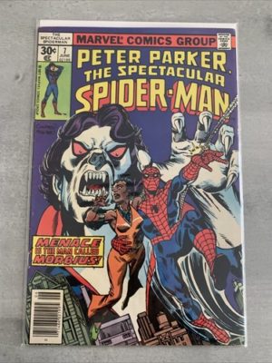 Marvel Comics Peter Parker The Spectacular Spider-man #7  Newsstand Variant 1977