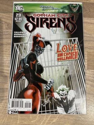 DC Comics Gotham City Sirens #23 Harley Quinn Poison Ivy Catwoman 2011 Stunning