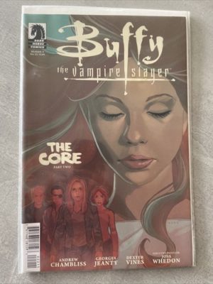Dark Horse Comics Buffy The Vampire Slayer Season 9 #22 Low Print Run Scarce