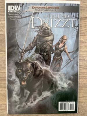 IDW Comics Dungeons & Dragons The Legend Of Drizzt #3 2011 Cover A scarce