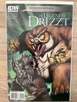 IDW Comics Dungeons & Dragons The Legend Of Drizzt #2 2011 Cover B Variant