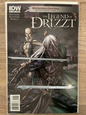 IDW Comics Dungeons & Dragons The Legend Of Drizzt #1 2011 Cover B Variant