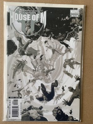 Marvel Comics House Of M #8 Bachalo Variant Lovely Condition
