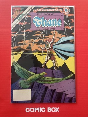 Charlton Comics The Saga Of Thane Of Bagarth #24 Jim Aparo 1985 Bronze Age