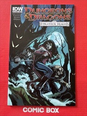 IDW Comics Dungeons And Dragons #3 2012 Cover B Ellis Variant Forgotten Realms - Image 4