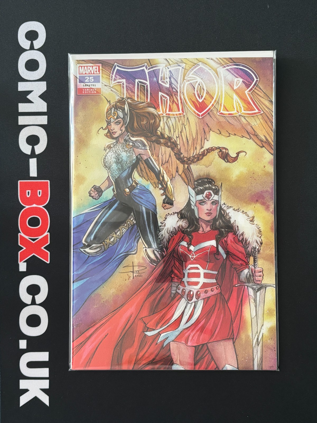 Marvel Comics Thor #25 Sabine Rich Exclusive Variant 2022 - Image 3