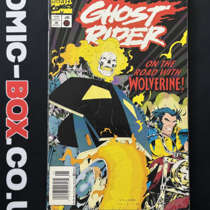 Ghost Rider #57 Marvel 1994 Newsstand Salvador Larroca and Sergio Melia Cover